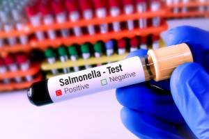 W 2022 roku w krajach UE odnotowano ponad 65 tys. zachorowań na salmonellozę Fot.Shutterstock