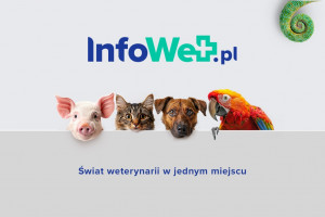 Startuje portal InfoWet.pl! Zapraszamy do świata zwierząt
